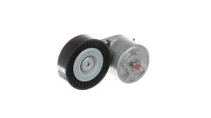 ролик натяжной!\ Ford Galaxy/Mondeo/S-Max 1.8TDCi 05> VKM34200 SKF