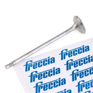 C4 (2005-2011) / 308 (2007>) / COOPER (2000>) R6664/RCR FRECCIA