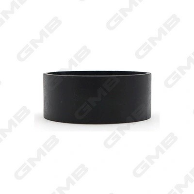 Ролик приводного ремня натяжной Nissan Almera II (N16E), Renault Kangoo, Clio II GTA0370 GMB