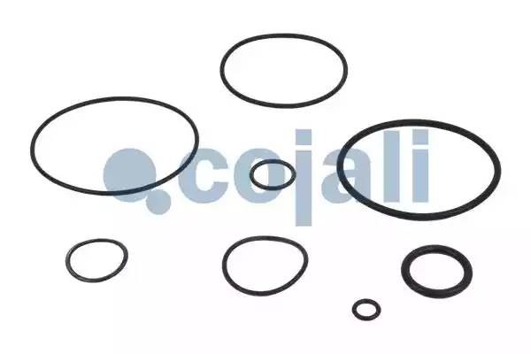 Ремкомплект MAN SCANIA VOLVO клапана ускорительного COJALI 6012033 COJALI