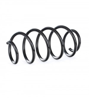 VW PASSAT [B6] (2005-2010) 4085719 LESJOFORS