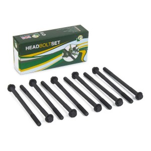 к-кт болтов ГБЦ! 10шт.\ Chevrolet Aveo/Cruze/Lacetti/Lanos 1.6 97> BK4359 BG AUTOMOTIVE