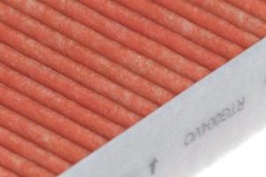 Фильтр воздушный салона VW Polo (10-) AUDI A1 SKODA Fabia,Rapid абсорбент цеолит RTG004VO RAF FILTER