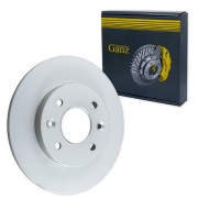 RENAULT CLIO/MEGANE/R19/R21 238x12x4 GIJ06133 GANZ