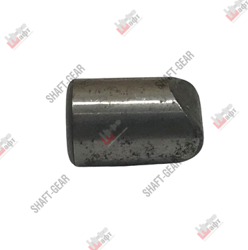 Вспомогательный штифт 1250307600 SHAFT