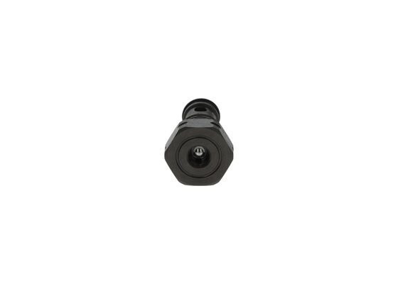 Клапан перепускной (Bosch) F00N202279 BOSCH