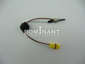 EBERSPACHER D2/D4/D4S EB2502070011100 DOMINANT