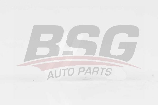 Клипса FORD BSG BSG30995013 BSG