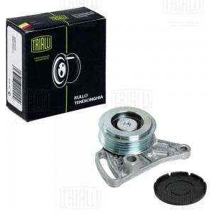 Ролик привод. ремня Audi A4 (94-) 1.6i/1.8i/1.9d (с натяж. мех.) (CM 1838) CM 1838 TRIALLI