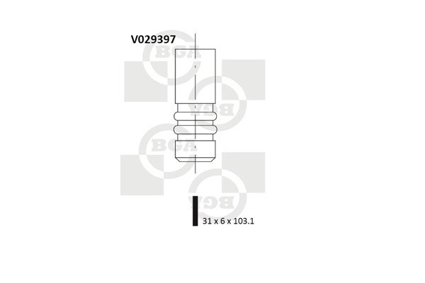 Впускной клапан V029397 V029397 BG AUTOMOTIVE