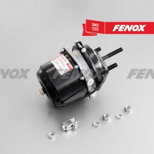энергоаккумулятор !тип 24/24, шпильки М16x1.5 \МАЗ BCDE24001 FENOX