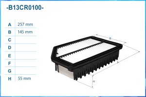 Фильтр воздушный B13CR0100 B13CR0100 CWORKS