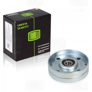 Ролик приводного ремня NISSAN Almera (N16E),Primera (P11/P12) натяжителя кондици CM 1401 TRIALLI