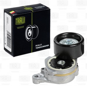 Ролик приводного ремня с натяжным механизмом CM 6176 TRIALLI