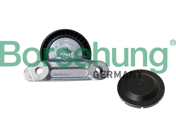 Ролик приводного ремня SKODA Rapid (13-) натяжителя BORSEHUNG B12202 BORSEHUNG