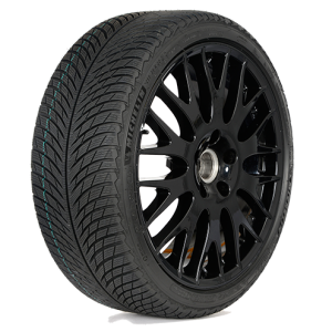 Michelin 295/30 r21 Pilot Alpin 5 102V 405838 MICHELIN