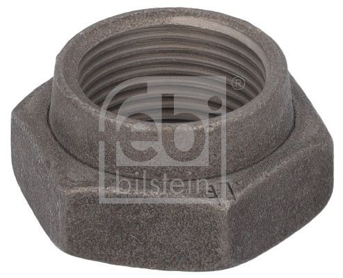 гайка! тормозного вала M22x1.5\BPW SN30../36../42.. 19159 FEBI BILSTEIN
