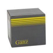 HYUNDAI SANTA FE (2012>)/SONATA VI (2010>) GIL06141 GANZ