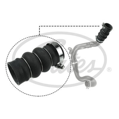 FORD TRANSIT CONNECT (2002>) 090627 GATES