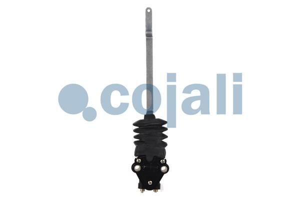 Кран уровня пола 2214518 COJALI