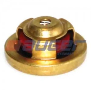 клапан! обратный насоса подкачки (м) Omn DAF, MAN, MB, RVI, Scania, Volvo B7/10 71522 AUGER