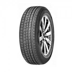 Роудстоун  205/55/16  H 91 EUROVIS ALPINE WH1 R15300 ROADSTONE