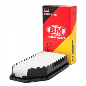 Фильтр воздушный  FA2465 FA2465 BM MOTORSPORT