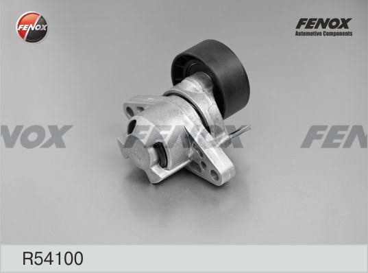 RENAULT CLIO/ KANGOO/ LAGUNA/ MEGANE R54100 FENOX