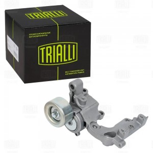 Ролик привод. ремня Toyota LC Prado (02-) 4.0i [1GR] (с натяж. мех.) (CM 5162) CM 5162 TRIALLI