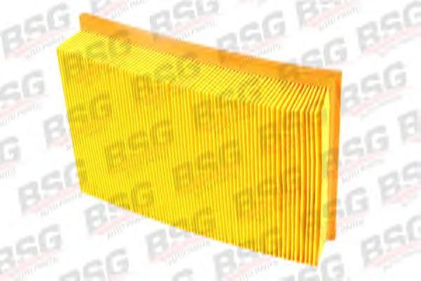 Фильтр воздушный FORD Escort,Orion (92-00) BSG BSG30135009 BSG