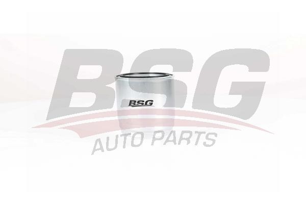 Фильтр топливный HYUNDAI Tucson (15-) KIA Venga (11-) BSG BSG40130011 BSG