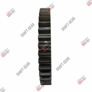 Шестерня 1-й передачи вторичного вала JS119T-1701111B SHAFT