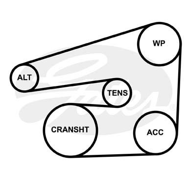 Ремень приводной поликлиновой 6PK1550 GATES 6PK1550XS GATES