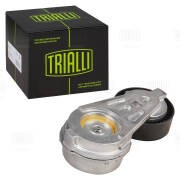 Ролик привод. ремня для а/м ГАЗ Volga Siber/Chrysler Sebring (00-) 2.4i (с натяж CM5758 TRIALLI