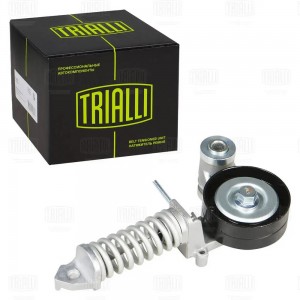 Ролик привод. ремня Opel Astra H (04-)/Corsa D (06-) 1.2i/1.4i (с натяж. мех.) ( CM 0508N TRIALLI