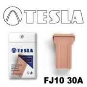 Предохранитель TESLA FJ10 30A (Tesla/fj1030a) FJ1030A TESLA