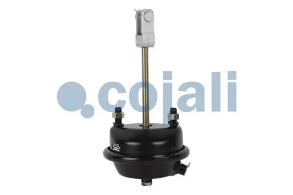 Камера тормозная T24 MAN/RVI аналог Wabco 4231069000 2251107 COJALI