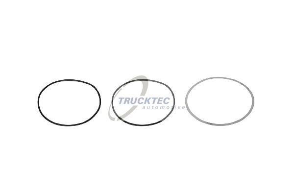 к-т уплот колец !3 шт \MB OM 501/502 0143463 TRUCKTEC