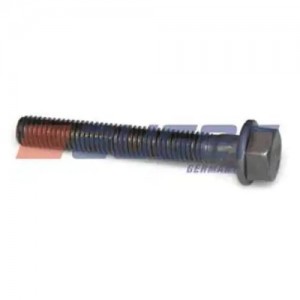 MERCEDES BENZ TRUCK ACTROS I (1996-2002) M10x1,5x70мм 68863 AUGER