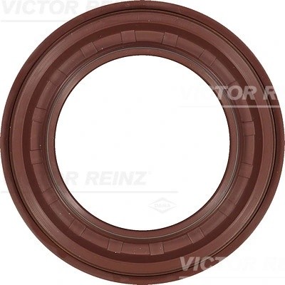 LAND ROVER FREELANDER (1998-2006) 813674100 VICTOR REINZ