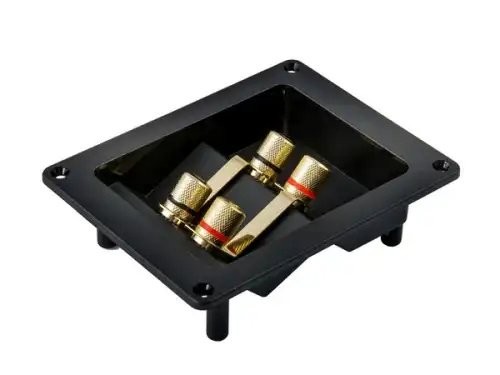 Терминал аудио AURA WTB930P AURA