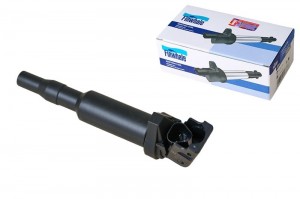 Катушка BMW E87/E46/E90/E65/X3/X5 1.6i-4.8i 07- IC044 IC044 FINWHALE