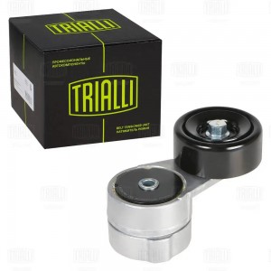 Ролик приводного ремня (с натяжным механизмом) подшипник NSK/NTN CM 0801N TRIALLI