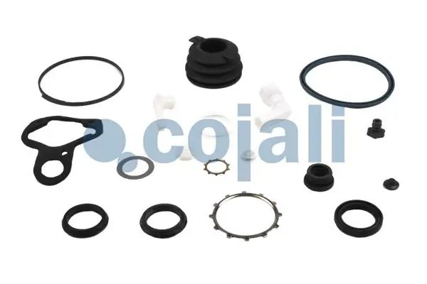 р/к ПГУ сцепления !629683AM Omn Scania 4-ser. 6034026 COJALI