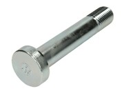 Палец рессоры M30x170-8,8/Ø62 0334105050 BPW