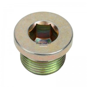 Заглушка резьбовая M20x1,5 9.29011 DIESEL TECHNIC