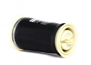 Пневморессора BMW X5 (E70),X6 (E71) задняя BILSTEIN 40221595 BILSTEIN