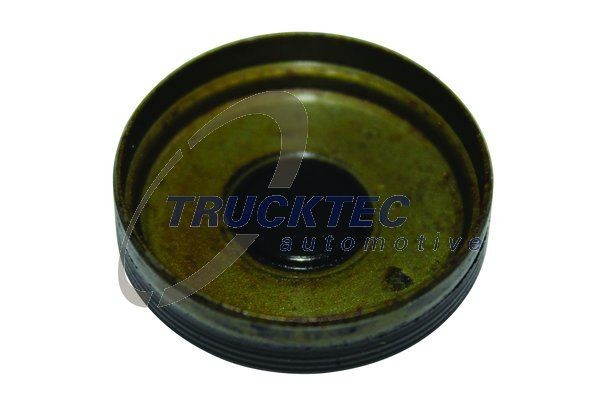 заглушка ГБЦ!\ MB W204 1.6/1.8/3.0 07> 02.10.086 TRUCKTEC
