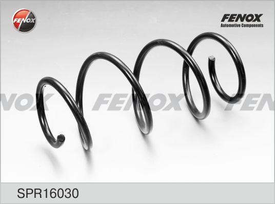 Пружина  2шт SPR16030 FENOX