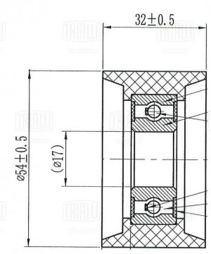 Ролик ГРМ Renault Duster (10-) 2.0i (опор.) (CM 6461) CM 6461 TRIALLI